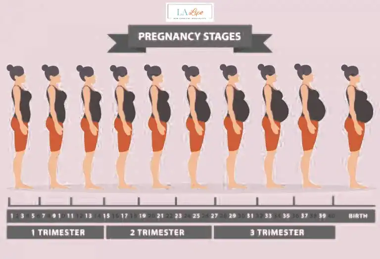 First Trimester (Weeks 1–12): Early Changes You Might Not Notice Wheathampstead